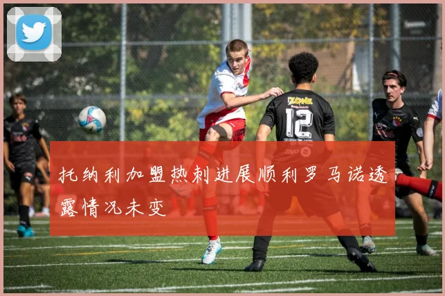 托纳利加盟热刺进展顺利罗马诺透露情况未变