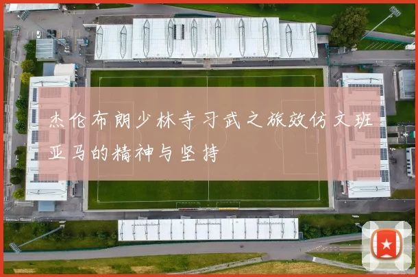 杰伦布朗少林寺习武之旅效仿文班亚马的精神与坚持